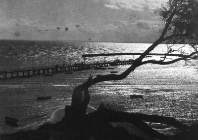 Hampton Pier