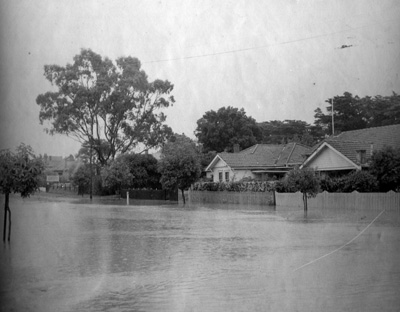 Waiora Avenue Brighton-Flood