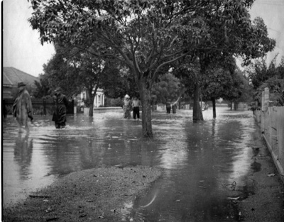 Waiora Avenue Brighton-Flood