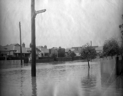 Waiora Avenue Brighton-Flood