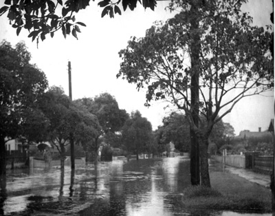 Waiora Avenue Brighton-Flood