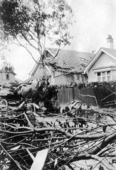 Cyclone damage-Brighton