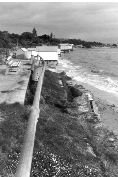 Storm damage-Dendy St-Brighton