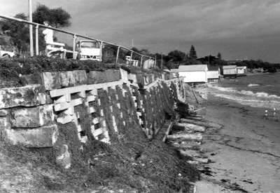 Storm damage-Dendy St-Brighton