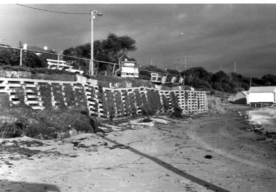 Storm damage-Dendy St-Brighton