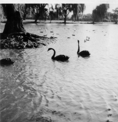 Flooding-Landcox Park-Brighton