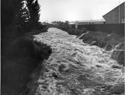 Elster creek flooding-Brighton
