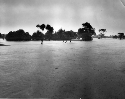 Flooding -Elsternwick Golf Course-Brighton