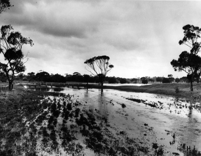Flooding-Elster canal-Brighton