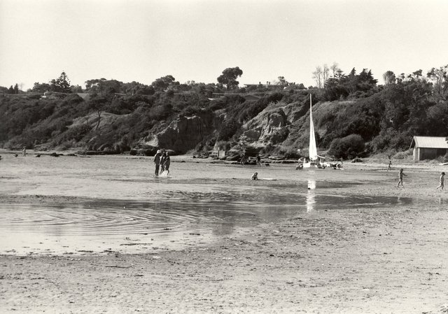Bay adjacent to Ricketts Point - Beaumaris