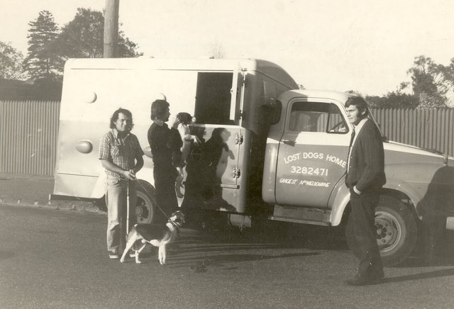 Lost Dogs Home Van - Brighton