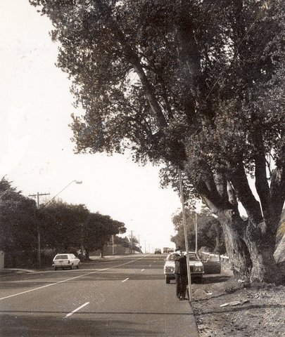 Beach Road, Beaumaris