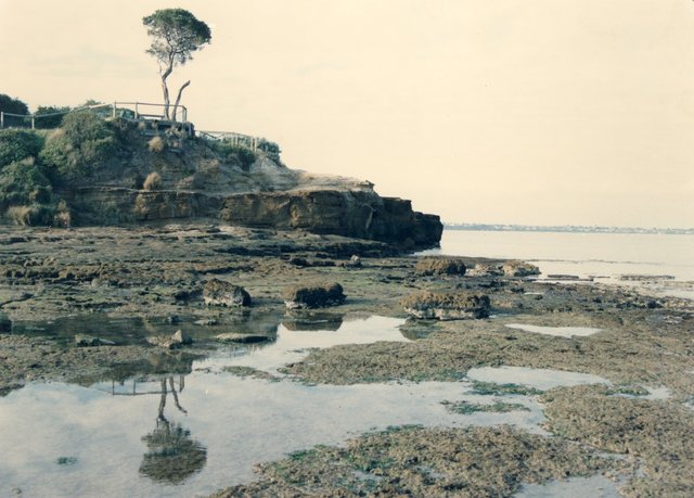 Table Rock Point, Beaumaris