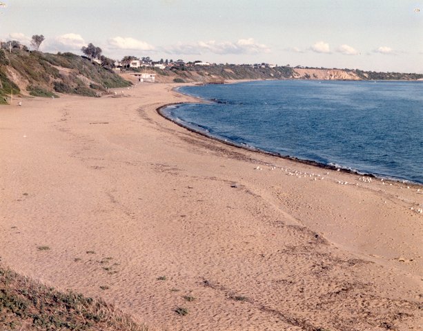 Sandringham Beach