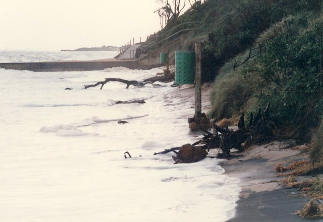 Storm damage, Royal Avenue, Sandringham