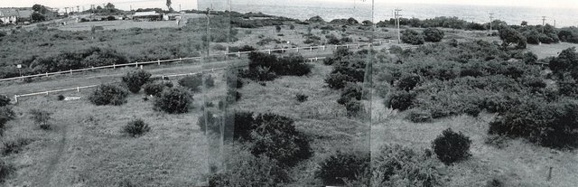 Beach Park, Sandringham