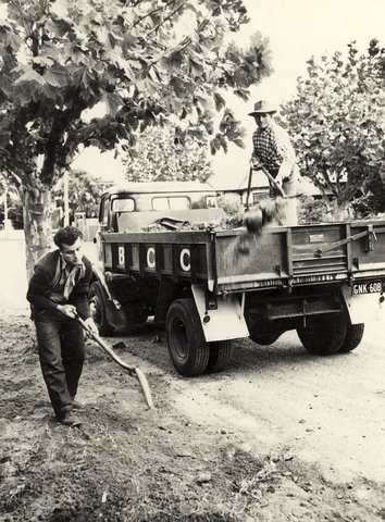 Brighton City Council workers