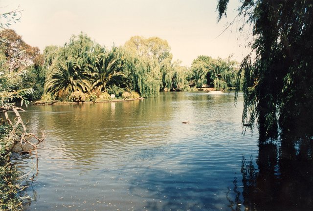 Landcox Park, Brighton