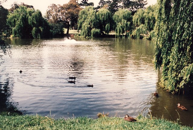 Landcox Park, Brighton