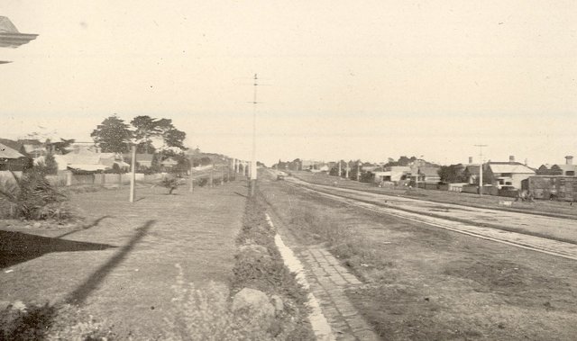 Memorial Avenue of Trees