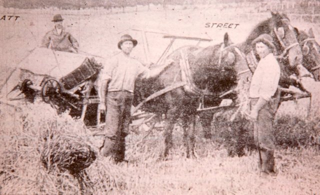 Oats for the tramway horses, Beaumaris