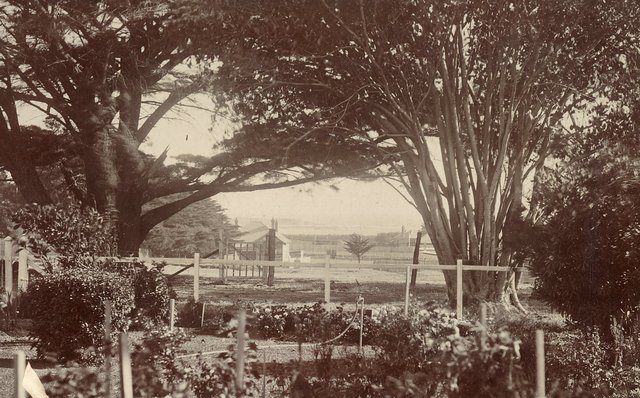 Lithca, Hampton