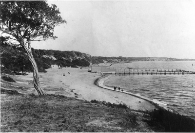 [Sandringham Beach]