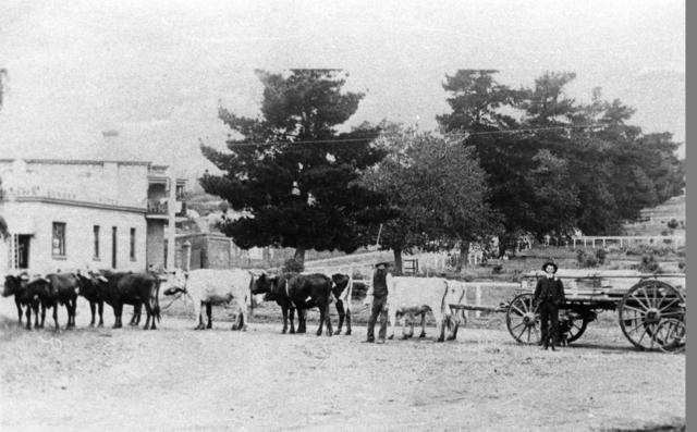 High Street Berwick, 1906