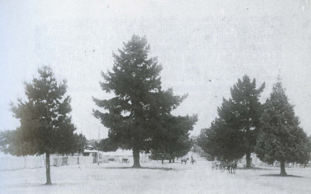 High Street, Cranbourne - looking north