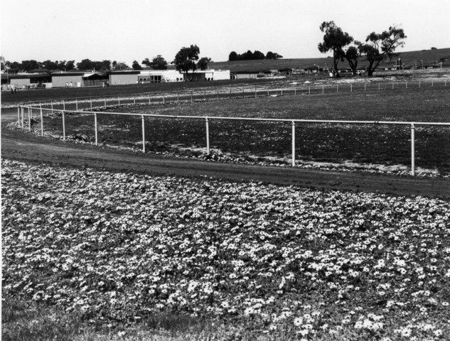 Mossgiel Park Reserve, Endeavour Hills