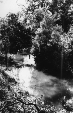 Cardinia Creek at Beaconfield