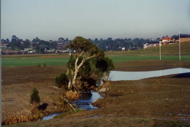 Frog Hollow Reserve, Endeavour Hills