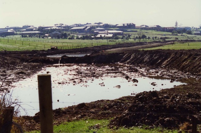 Eumemmerring Creek near Frog Hollow Reserve Endeavour Hills