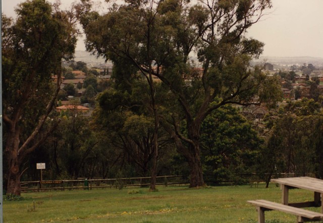 Casuarina Forest, Endeavour Hills