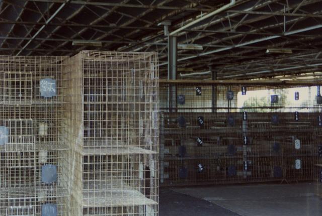 Dandenong Stock Market
