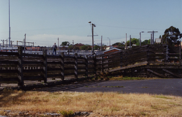 Dandenong Stock Market