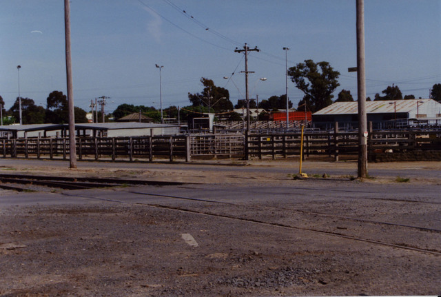 Dandenong Stock Market
