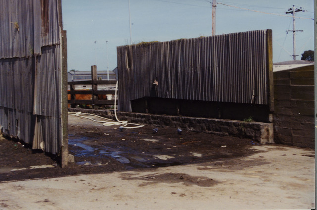 Dandenong Stock Market