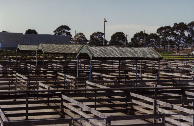 Dandenong Stock Market