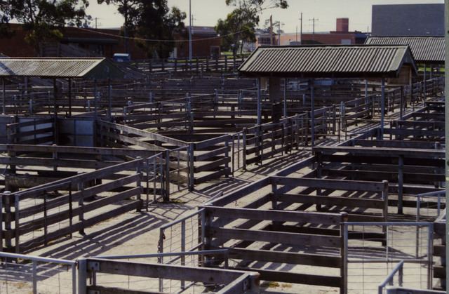 Dandenong Stock Market