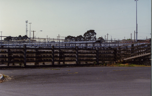 Dandenong Stock Market