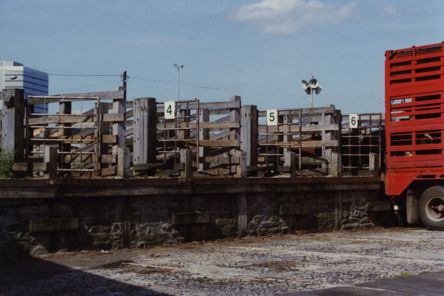 Dandenong Stock Market