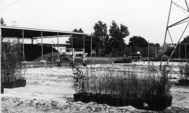 City of Berwick Nursery