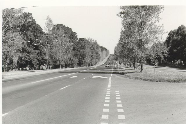  Berwick Hill -east side