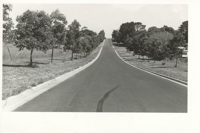 Brisbane Street, Berwick