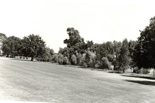  Buchanan Park, Berwick