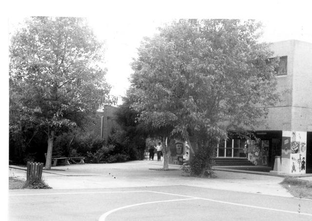 Coburg North Primary School No 4543