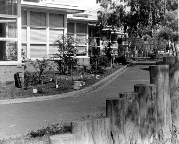 Newlands Primary School Number 1951