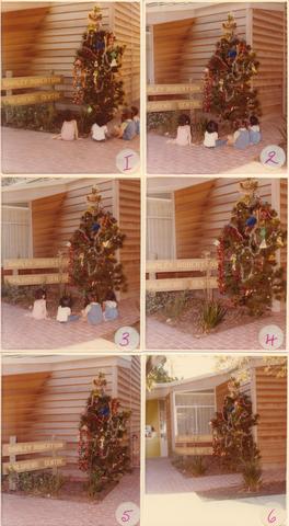 Christmas tree at Shirley Robertson children's center 