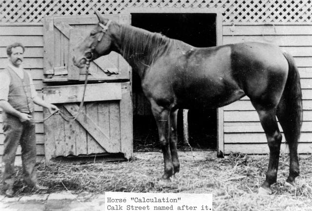 horse 'calculation ' Calk street named after it 